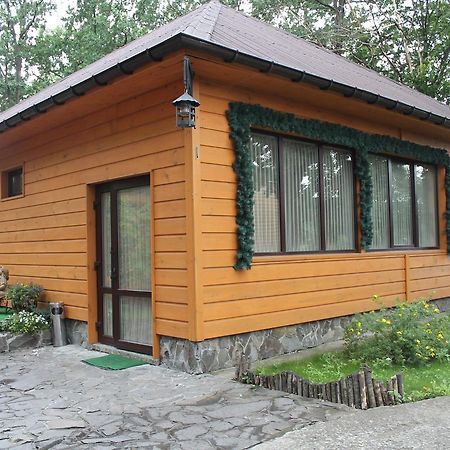 Dikii Med Hotel Geletintsy Luaran gambar