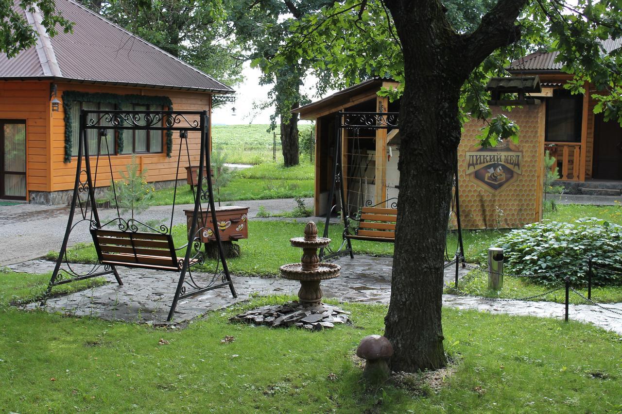 Dikii Med Hotel Geletintsy Luaran gambar
